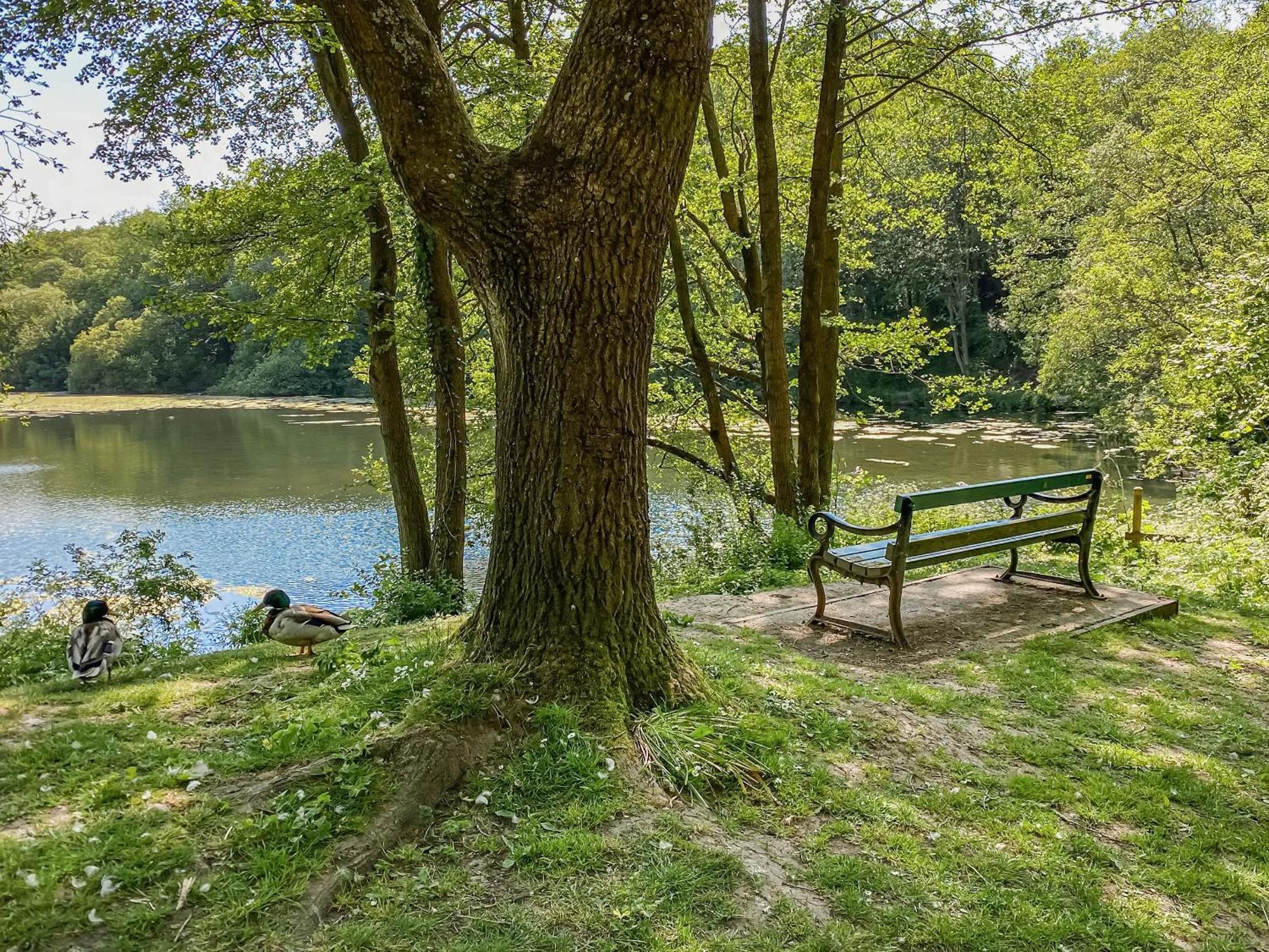 Serenity- Uk38551 Endon Bagian luar foto
